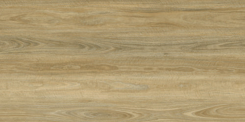 Apollo Hardwood - Evermore Floors - Godfrey Hirst