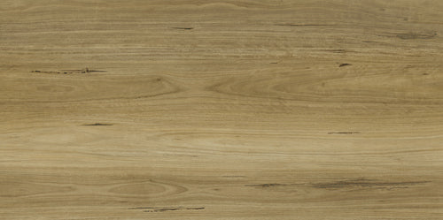 Apollo Hardwood - Evermore Floors - Godfrey Hirst