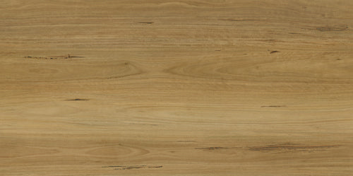 Apollo Hardwood - Evermore Floors - Godfrey Hirst