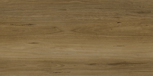 Apollo Hardwood - Evermore Floors - Godfrey Hirst