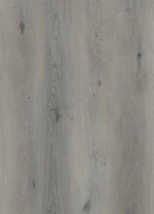 Apollo 1500 - Evermore Floors - Godfrey Hirst