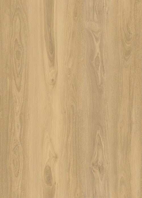 Apollo 1500 - Evermore Floors - Godfrey Hirst