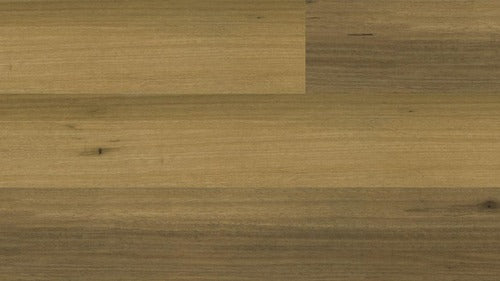 Apollo - Evermore Floors - Godfrey Hirst