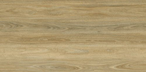 Apollo Hardwood - Evermore Floors - Godfrey Hirst