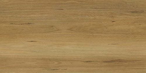 Apollo Hardwood - Evermore Floors - Godfrey Hirst