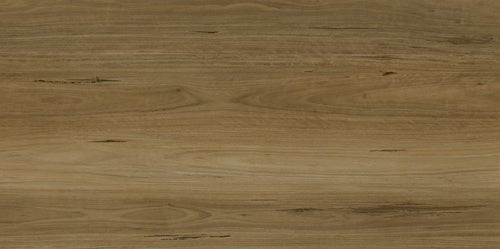 Apollo Hardwood - Evermore Floors - Godfrey Hirst