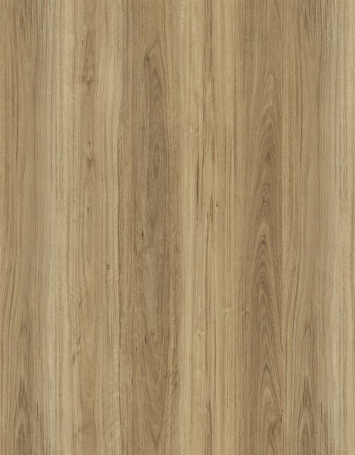 Aquila Wood - Evermore Floors - Godfrey Hirst