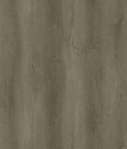 Belle Grande - Evermore Floors - Godfrey Hirst