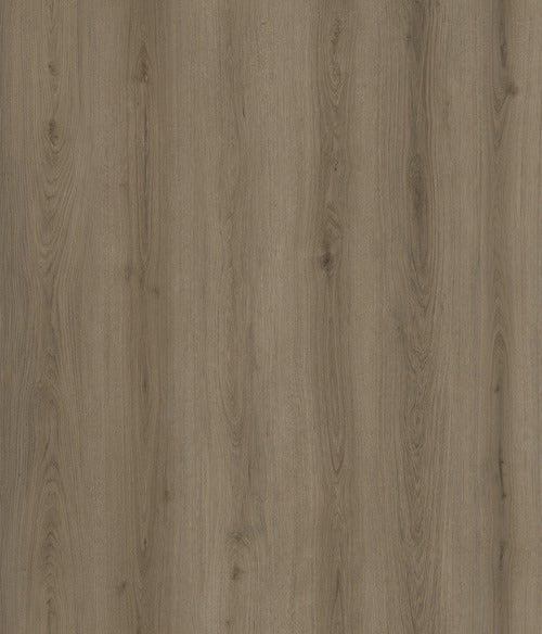 Belle Grande - Evermore Floors - Godfrey Hirst