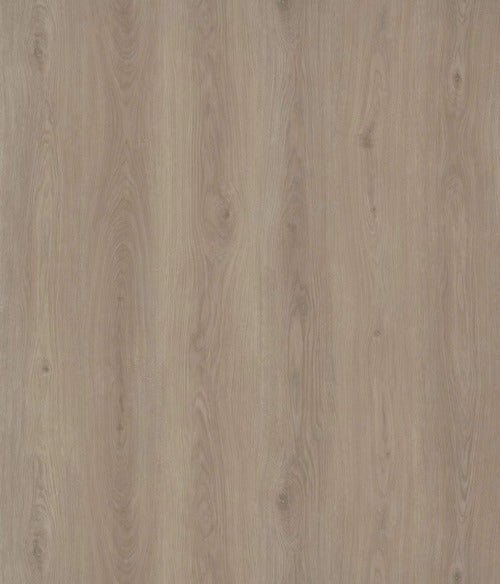 Belle Grande - Evermore Floors - Godfrey Hirst