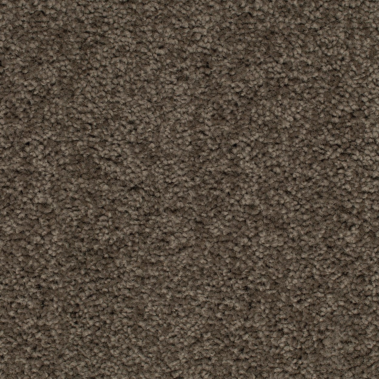 Grand Luxury - Evermore Floors - Godfrey Hirst