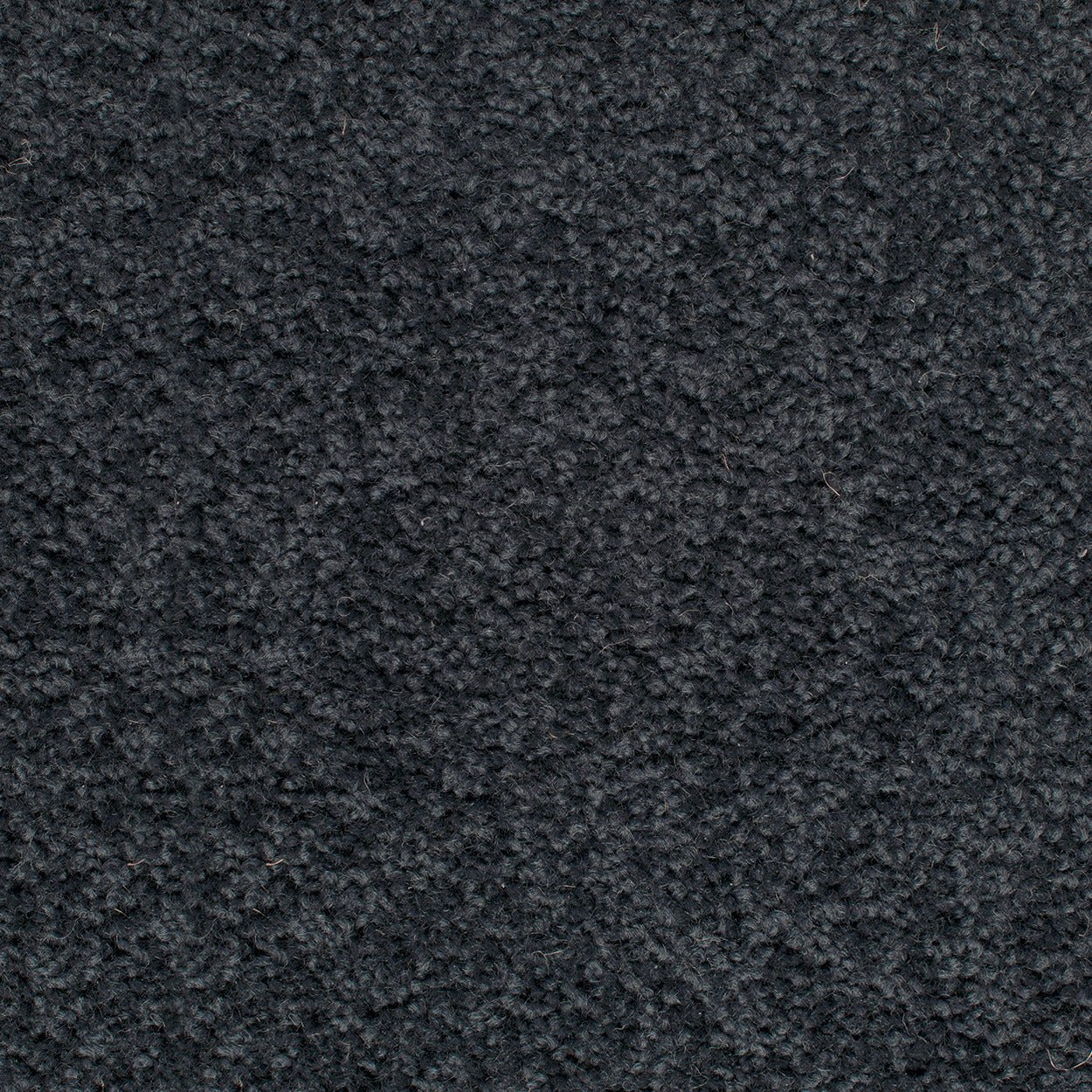 Grand Luxury - Evermore Floors - Godfrey Hirst