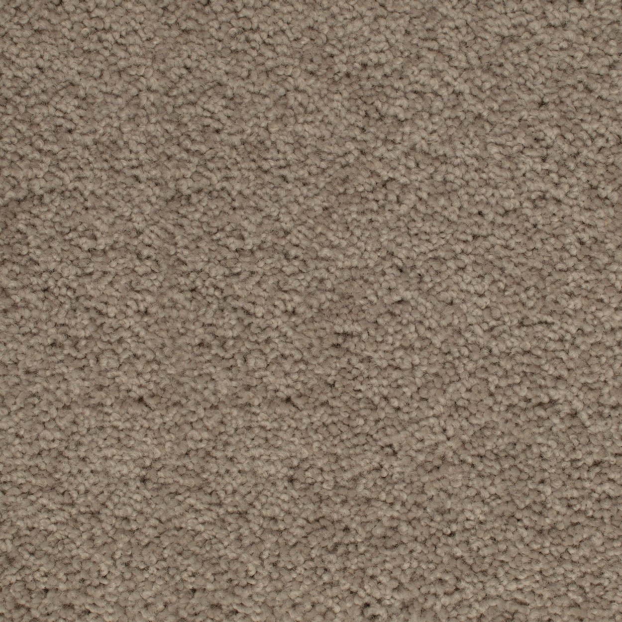 Grand Luxury - Evermore Floors - Godfrey Hirst