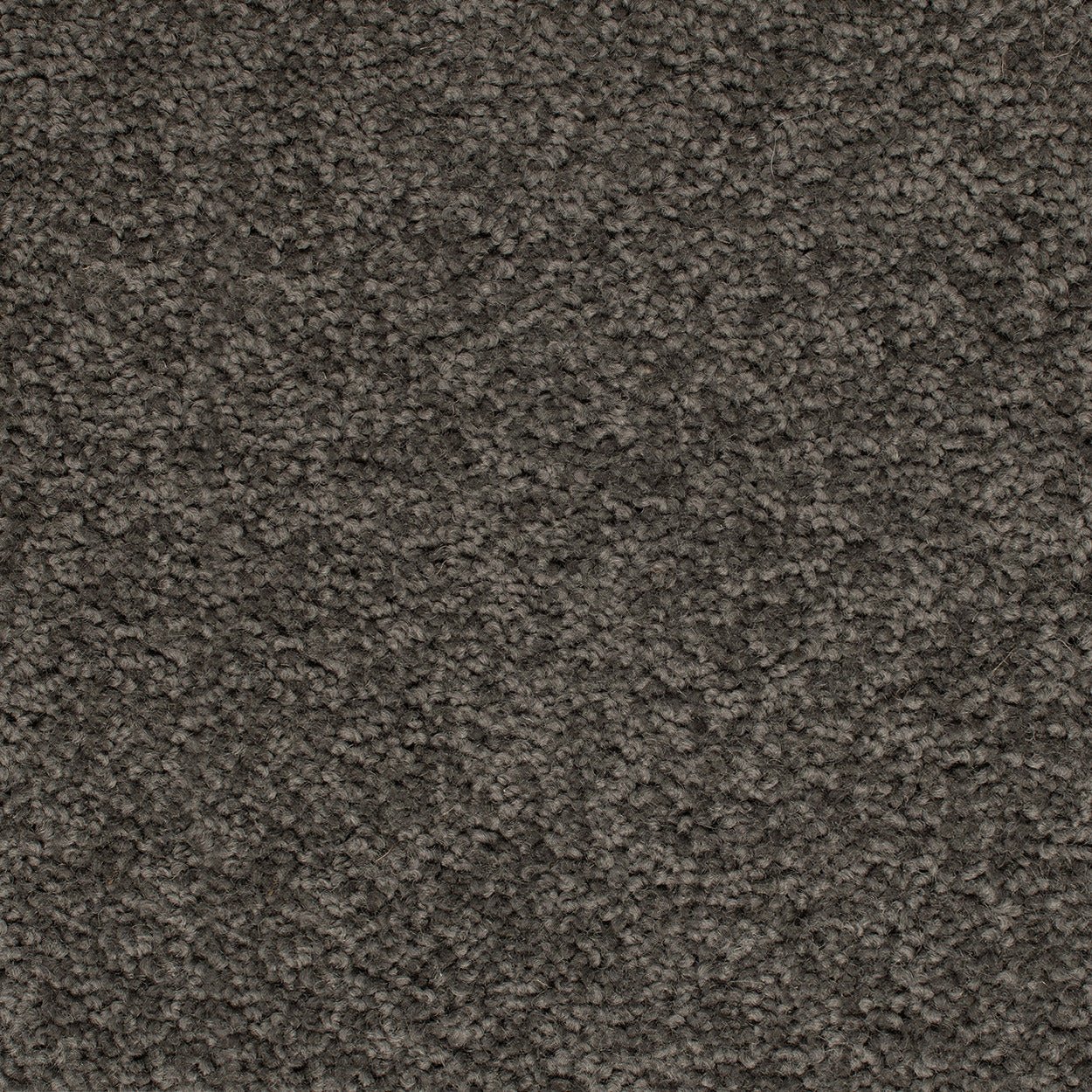 Grand Luxury - Evermore Floors - Godfrey Hirst