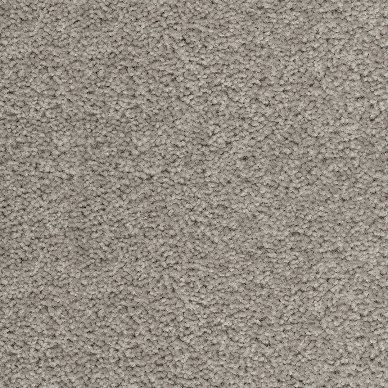 Grand Luxury - Evermore Floors - Godfrey Hirst