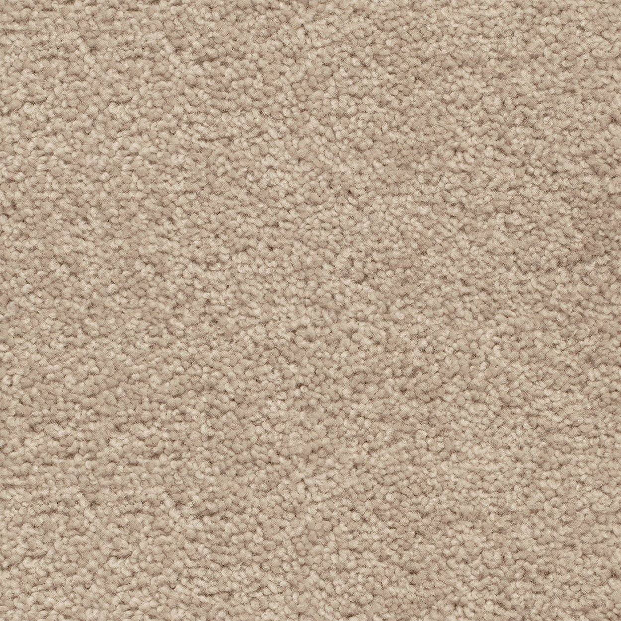 Grand Luxury - Evermore Floors - Godfrey Hirst