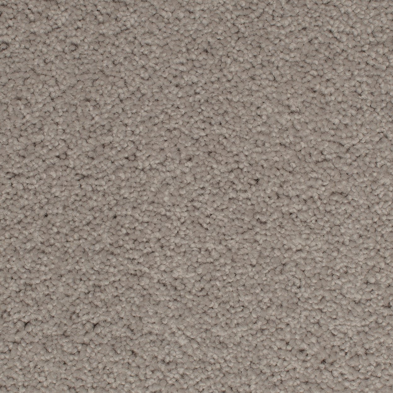 Grand Luxury - Evermore Floors - Godfrey Hirst