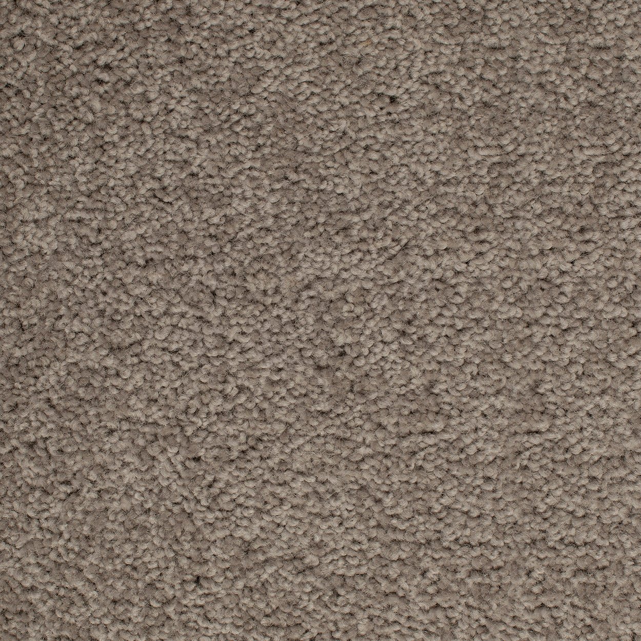 Grand Luxury - Evermore Floors - Godfrey Hirst