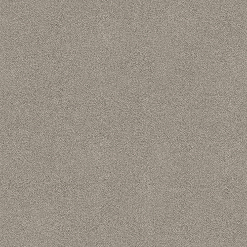 Luxury Appeal - Evermore Floors - Godfrey Hirst