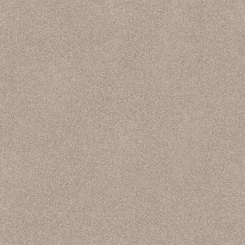 Luxury Appeal - Evermore Floors - Godfrey Hirst