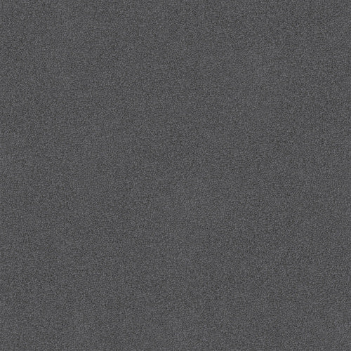 Luxury Appeal - Evermore Floors - Godfrey Hirst