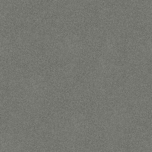 Luxury Appeal - Evermore Floors - Godfrey Hirst