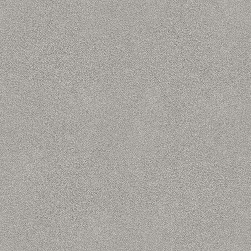 Luxury Appeal - Evermore Floors - Godfrey Hirst