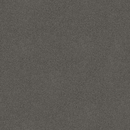Luxury Appeal - Evermore Floors - Godfrey Hirst