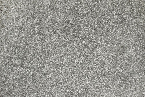 North Eden - Evermore Floors - Victoria Carpets