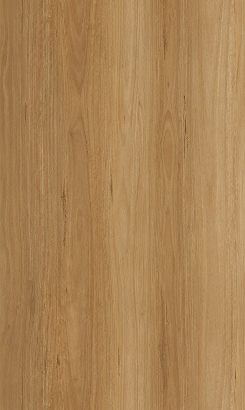 Polaris 1500 - Evermore Floors - Godfrey Hirst
