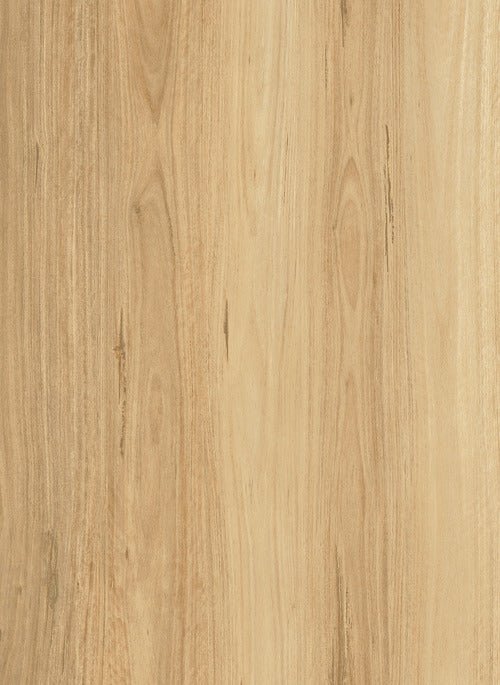 Regent 1500 - Evermore Floors - Godfrey Hirst