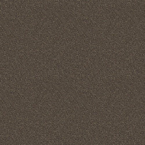 Soft Glow - Evermore Floors - Godfrey Hirst