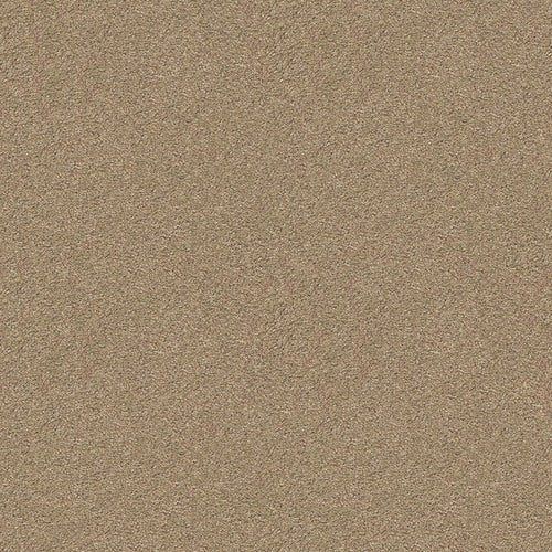 Soft Glow - Evermore Floors - Godfrey Hirst