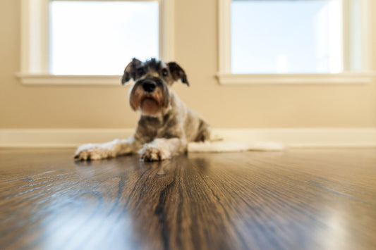 Exploring the Different Types of Hard Flooring for Your Home: Vinyl Plank, Hybrid Flooring, Engineered Timber, and Laminate