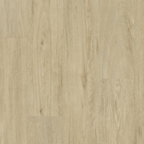 Texline Essence