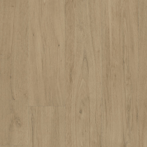 Texline Essence