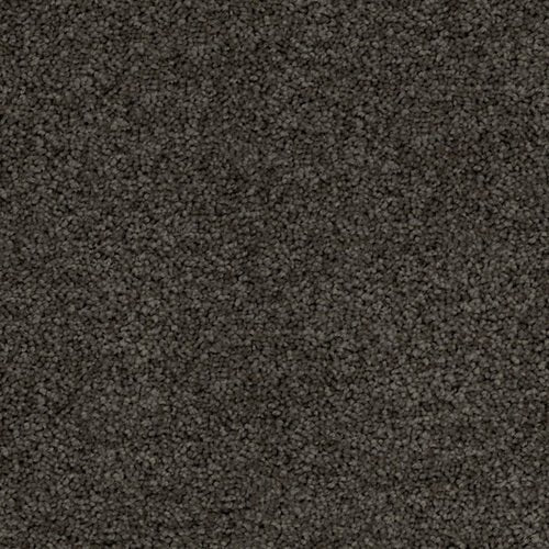 Insperational - Evermore Floors - Godfrey Hirst
